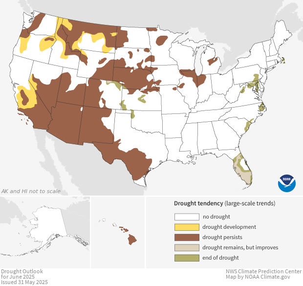 Image of a map of the Drought - Monthly Outlook dataset Drought - Monthly Outlook