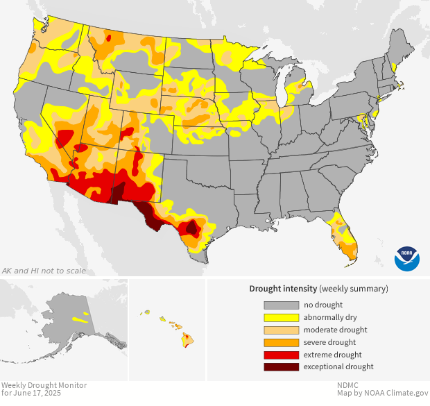 Image of a map of the Drought Monitor dataset Drought Monitor