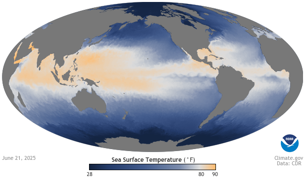 Image of a map of the SST - Sea Surface Temperature dataset SST - Sea Surface Temperature
