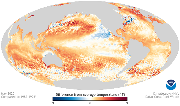 Image of a map of the SST - Global, Monthly Difference from Average dataset SST - Global, Monthly Difference from Average