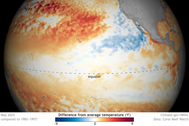 Image of a map of the SST - ENSO Region, Monthly Difference from Average dataset SST - ENSO Region, Monthly Difference from Average