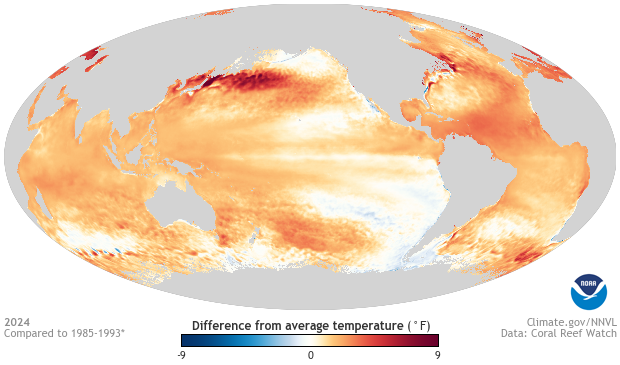 Image of a map of the SST - Global, Yearly Difference from Average dataset SST - Global, Yearly Difference from Average
