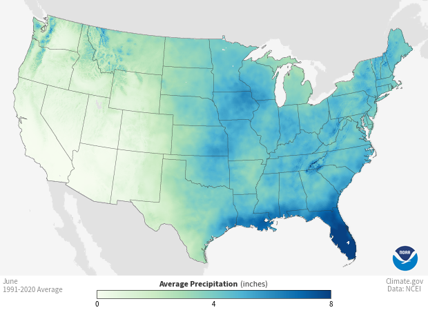 Image of a map of the Precipitation - 1991-2020 Monthly Average dataset Precipitation - 1991-2020 Monthly Average