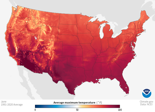 Image of a map of the Temperature - Maximum, 1991-2020 Monthly Average dataset Temperature - Maximum, 1991-2020 Monthly Average
