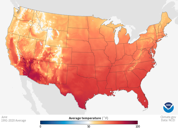 Image of a map of the Temperature - Mean, 1991-2020 Monthly Average dataset Temperature - Mean, 1991-2020 Monthly Average