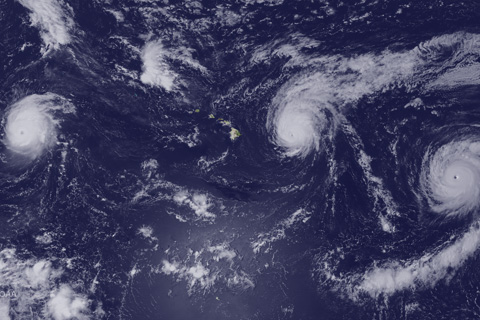 PAC Storms image