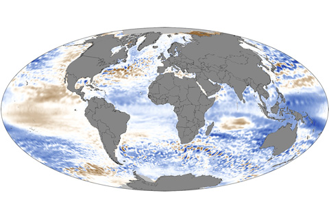 Global sea level anomaly