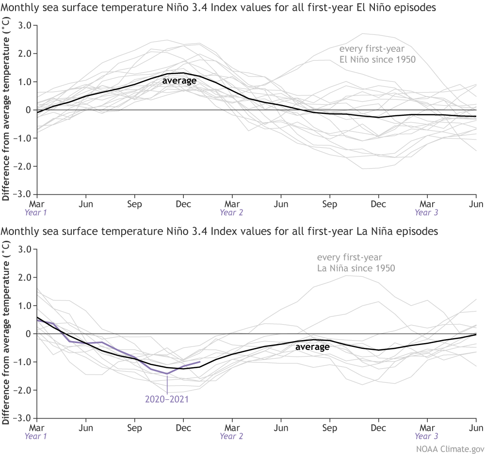Two graphs showing evolution of tropical Pacific ocean temperatures following all El Niños versus all La Niñas