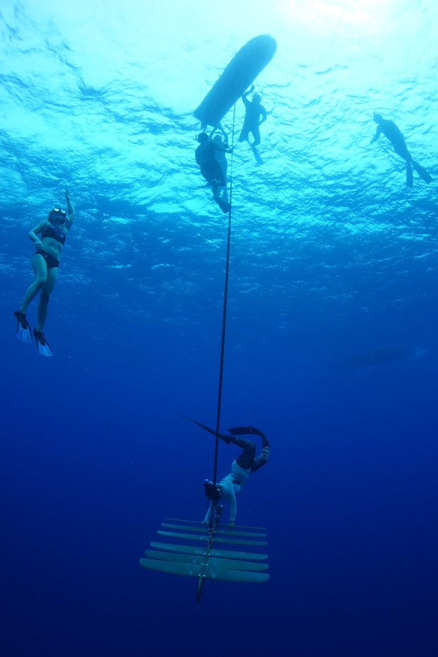 Underwater photo of Flo La Valle deploying a wave glider 