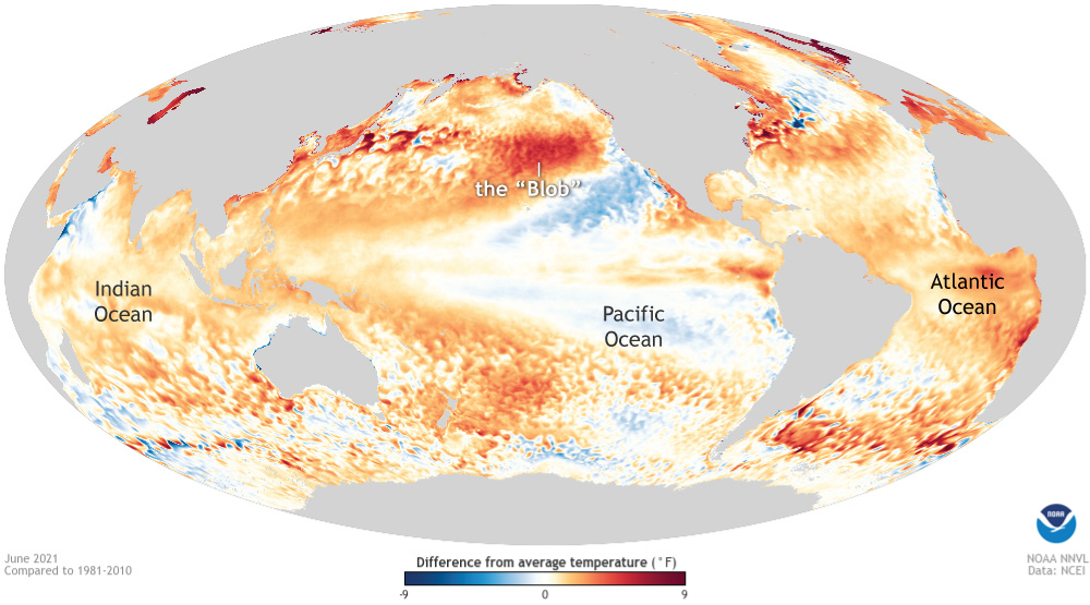 Global SSTA Map for June 2021