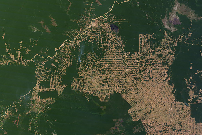 Deforestation, warming flip part of Amazon Rainforest from carbon sink to source