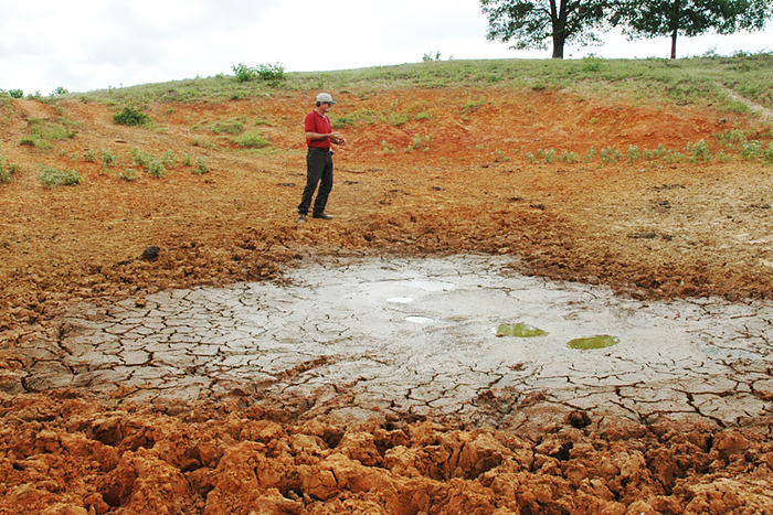 Dried-up pond