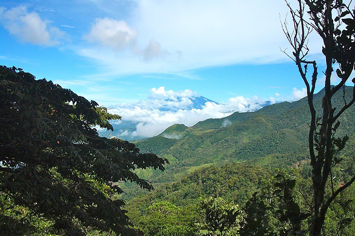 Tropical mountains