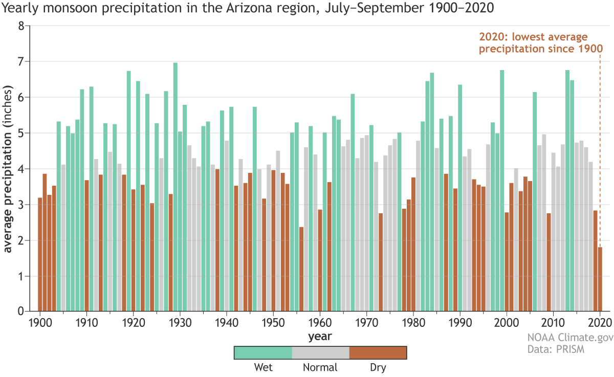 graph of summer rainfall in Arizona since 1900
