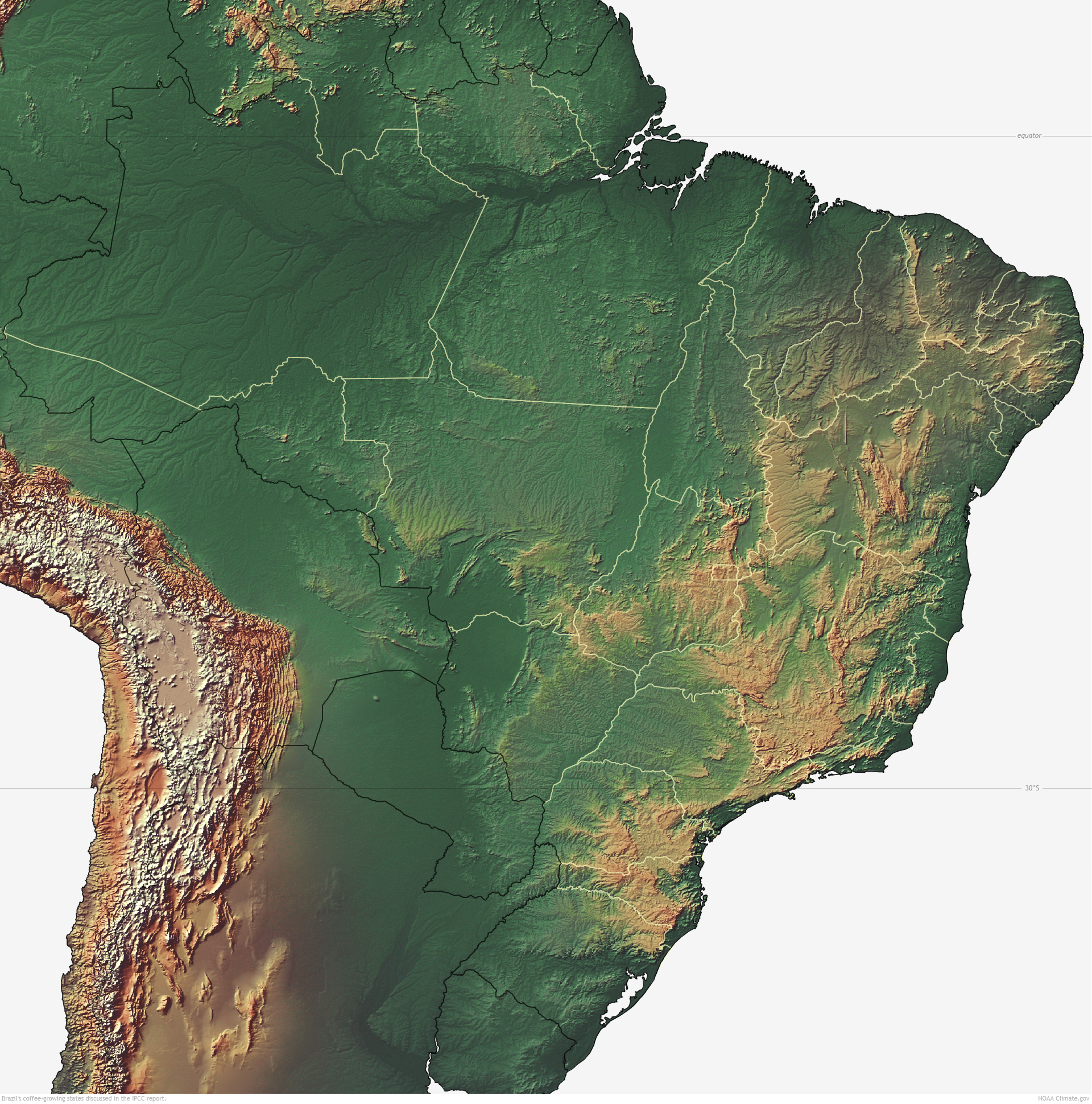 Brazil coffee growing