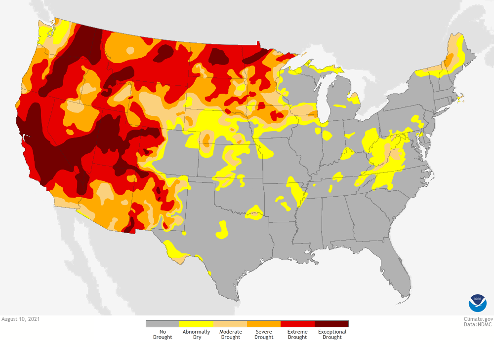 Map of US showing drought conditions as of August 10, 2021