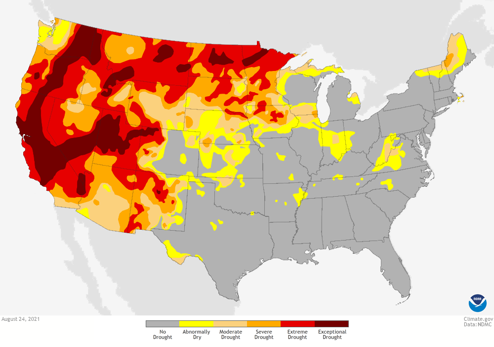 Map of contiguous U.S. showing drought status as of August 24, 2021