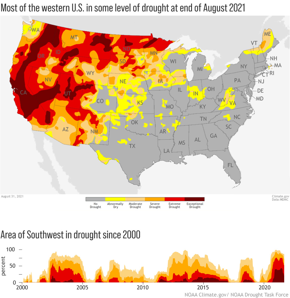 US map of drought conditions on August 31, 2021, plus a graph of percent area in drought since 2010