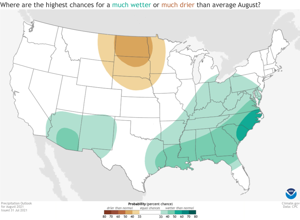 Map of US precipitation forecast for August 2021