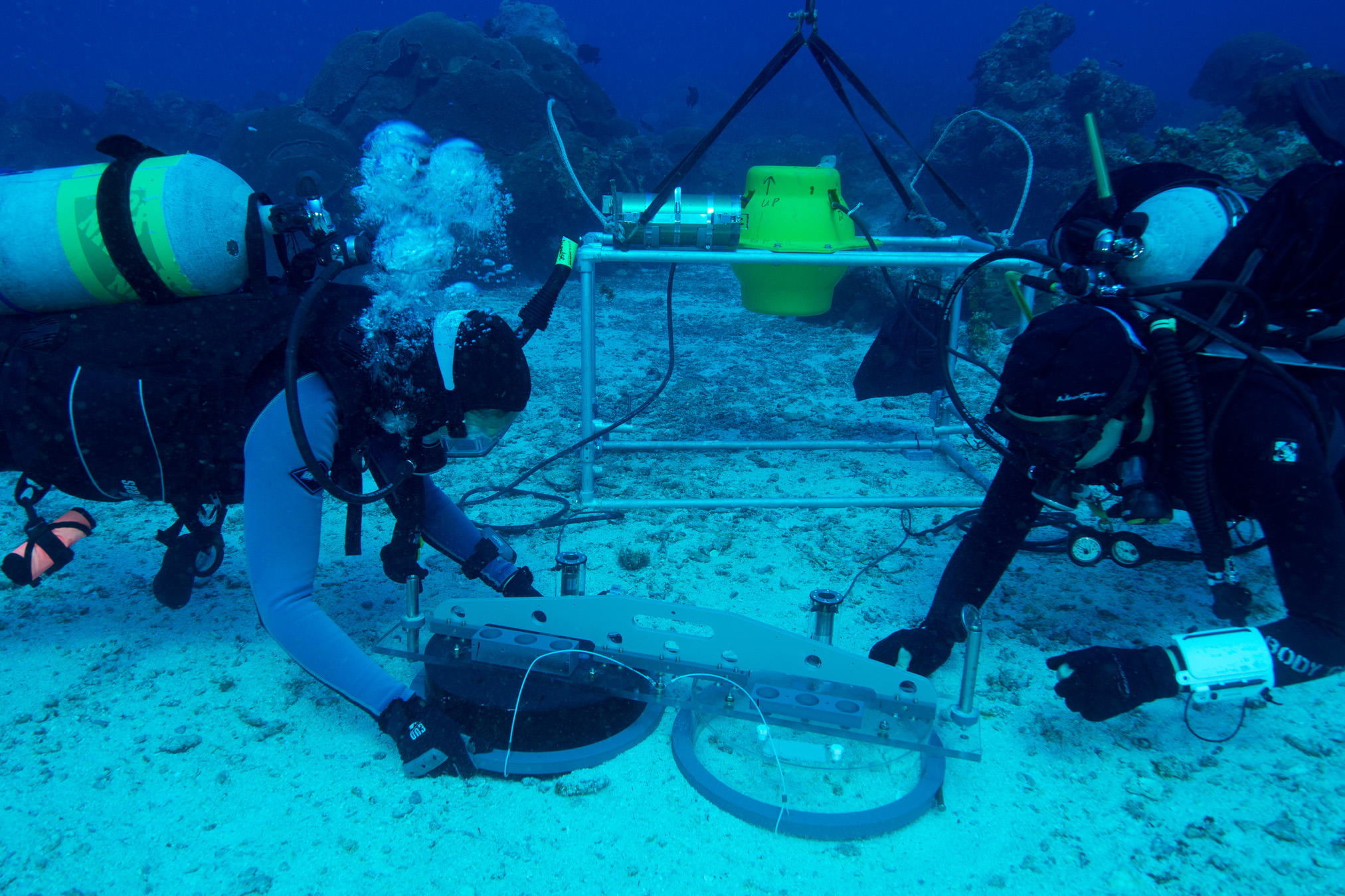 underwater photo of two divers setting up a benthic chamber on sea floor