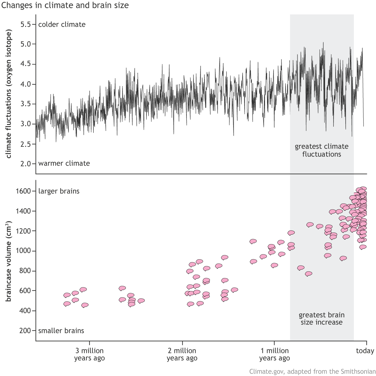 Changes in climate and brain size