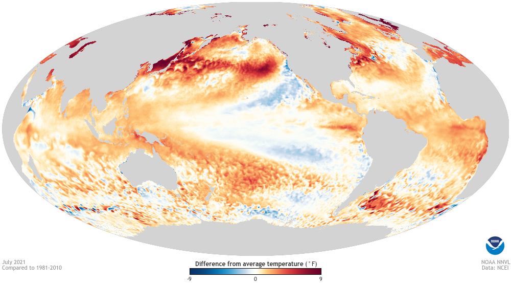 GLobal map of July 2021 sea surface temperature anomaly