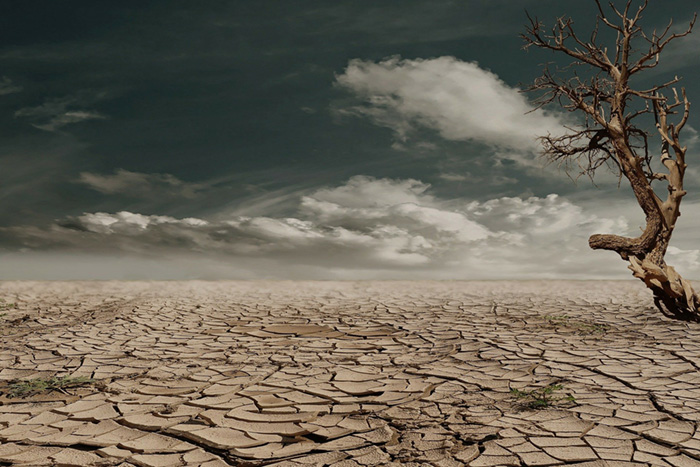 Dry landscape