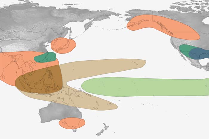 Global ENSO impacts