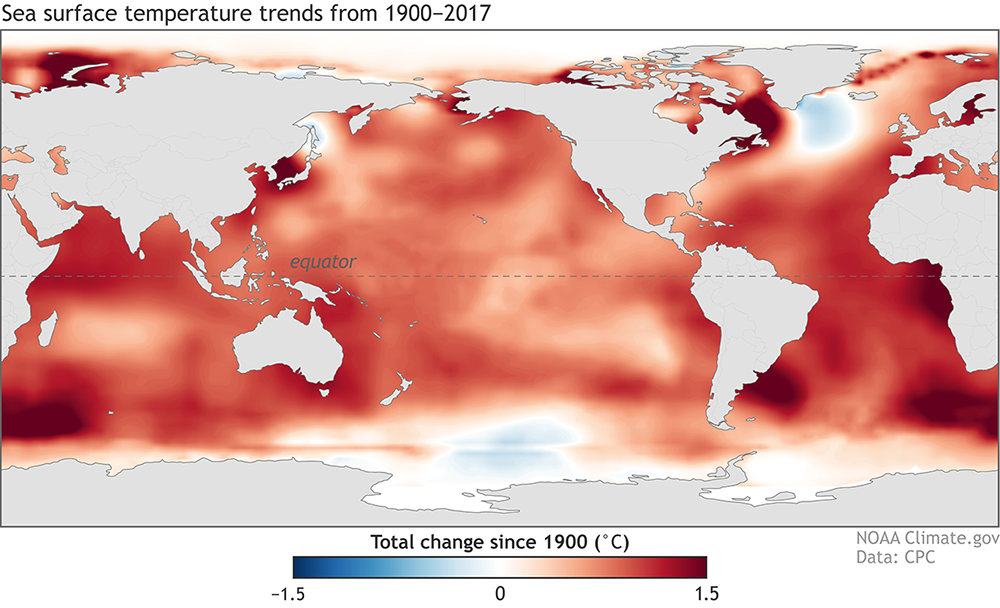 SST change map