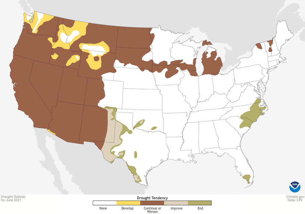 Drought outlook