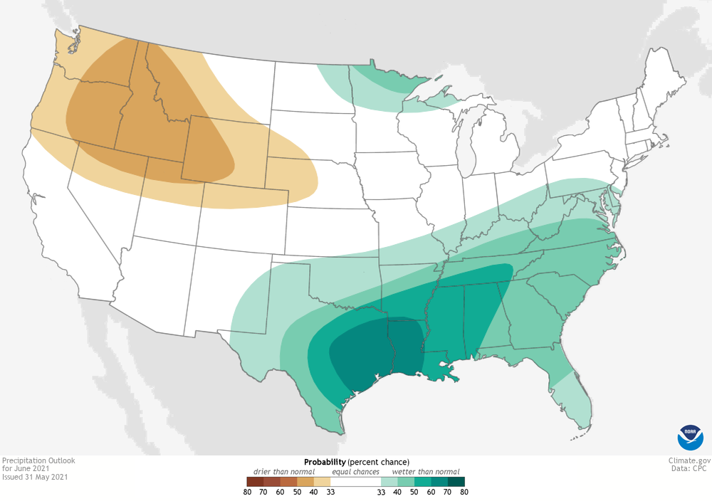 Precip outlook