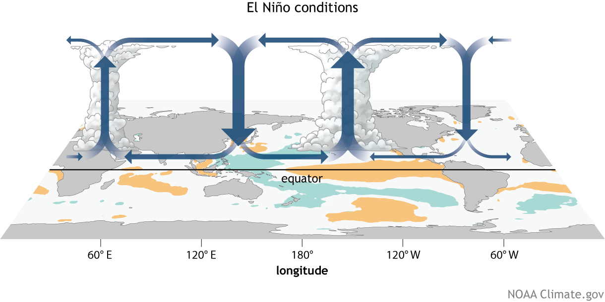 Walker Circulation El Nino conditions