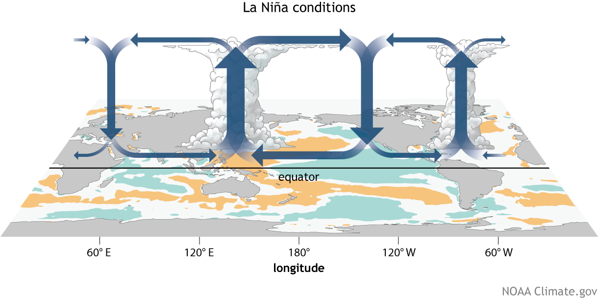 Walker Circulation La Nina conditions
