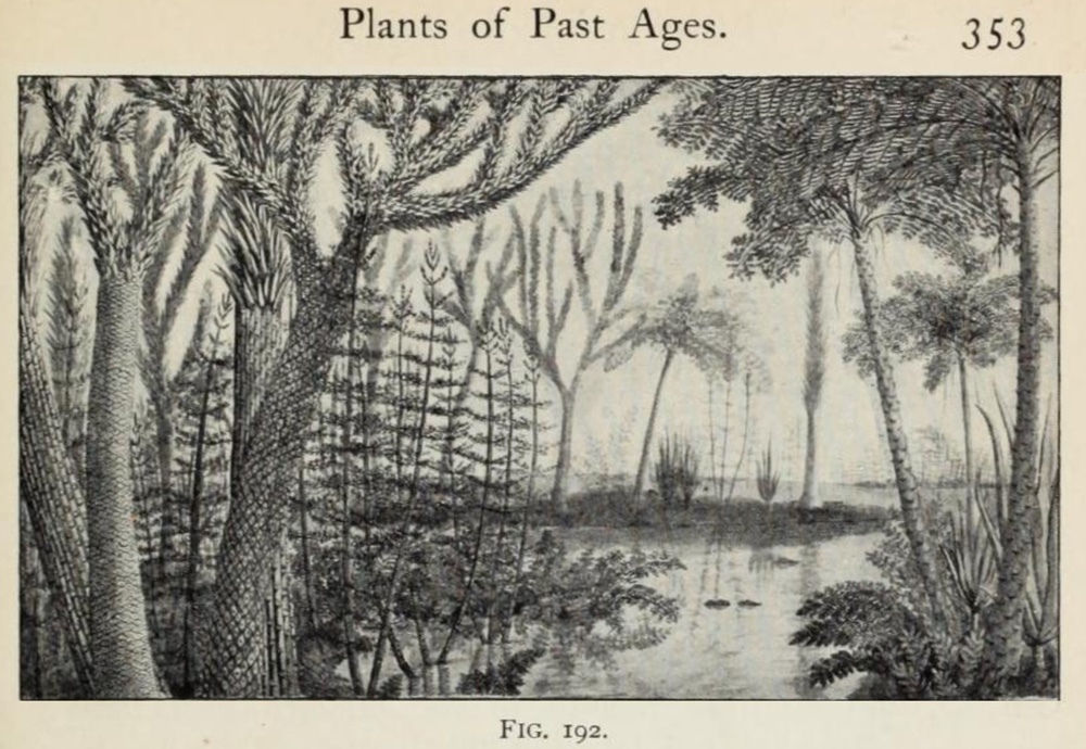 Carboniferous reconstruction