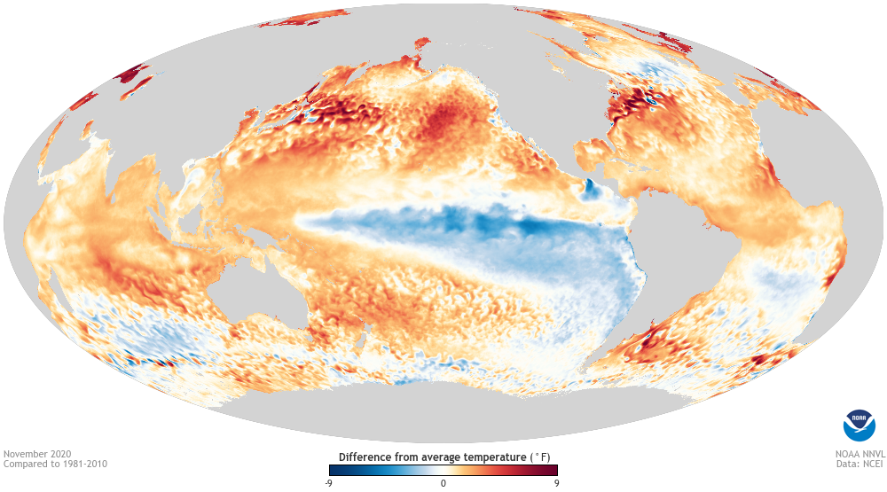 Sea surface temperature map