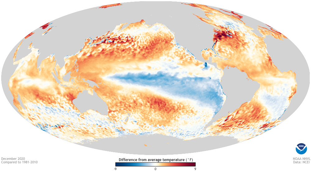 Sea surface temperature map