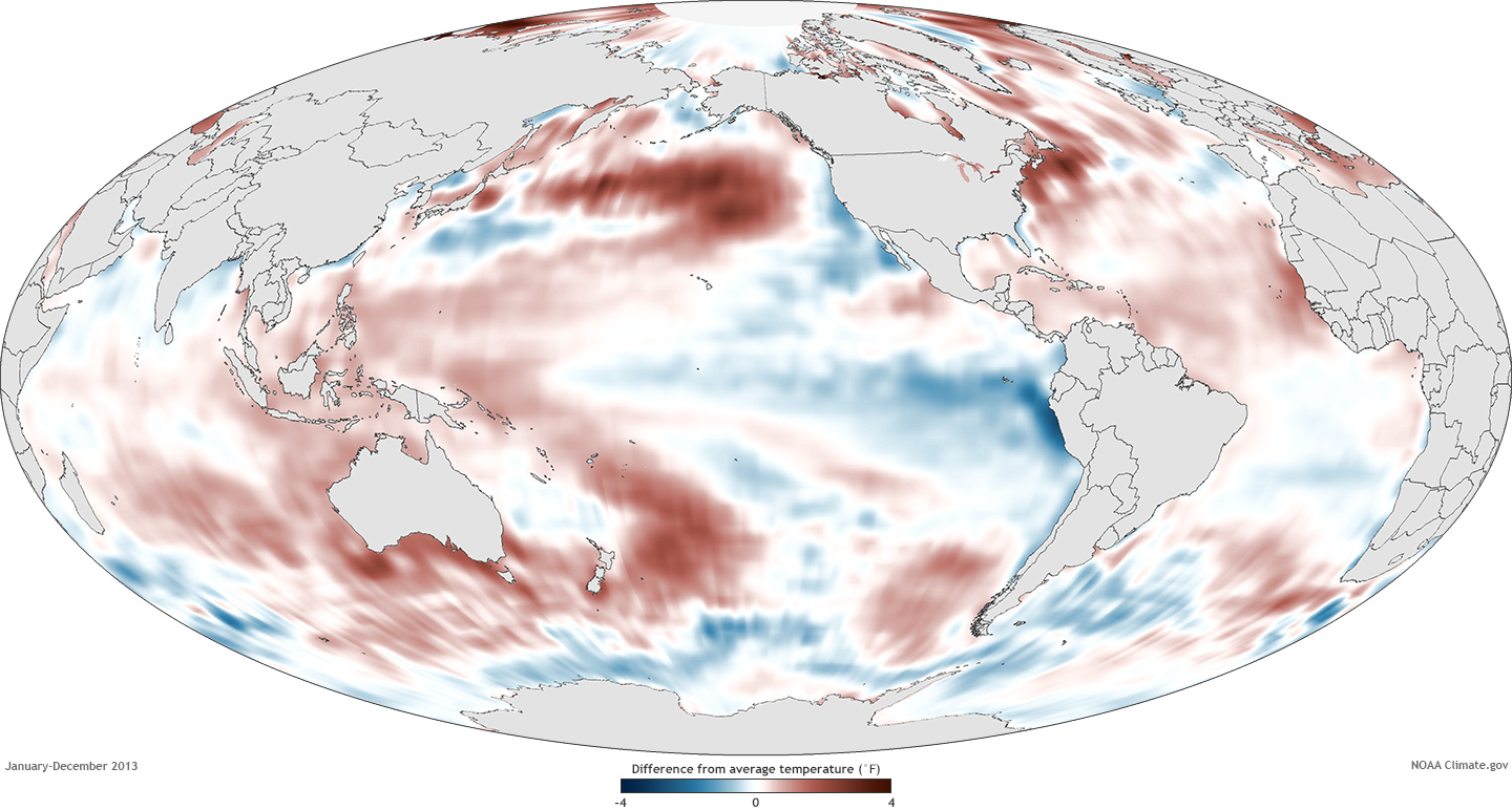 Global map of sea surface temperatures in 2013 compared to the 1981 to 2010 average.