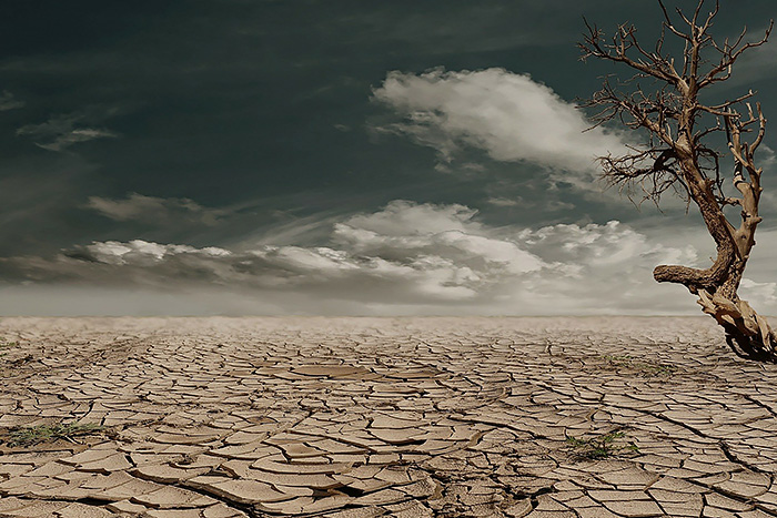 Desert landscape