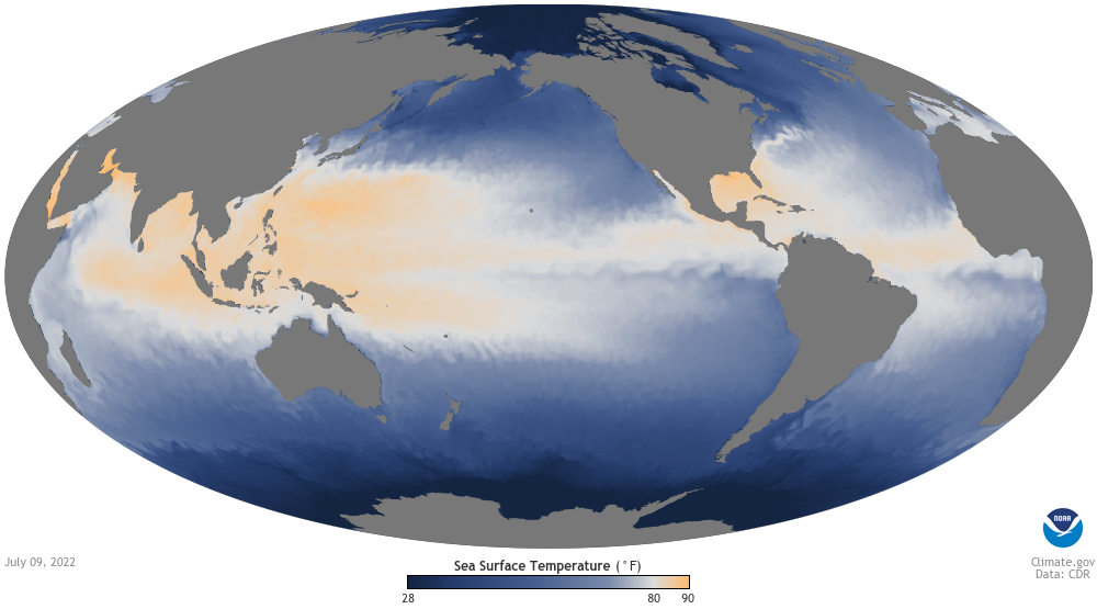 Global map of sea surface temperature the week of July 9, 2022