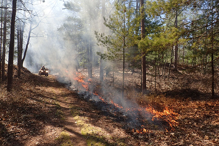 Fire line