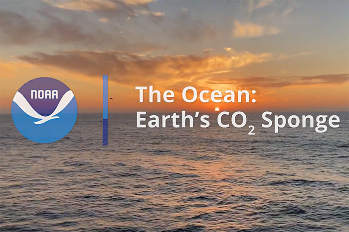 Video frame showing ocean and video title