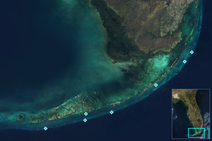 satellite image of Florida Keys