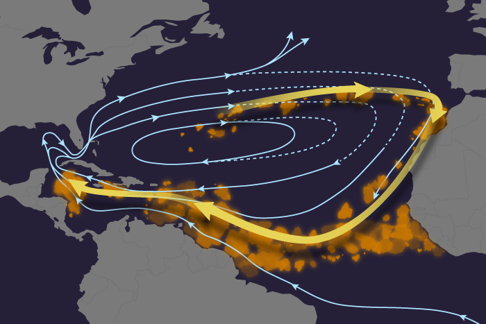 Schematic of Sargassum dispersal