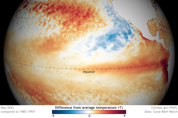 Globe-style map of ocean temperatures in the Pacific 