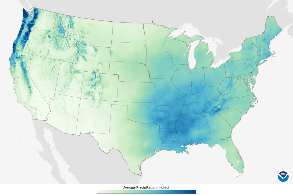 Precipitation - 1991-2020 Monthly Average thumbnail image