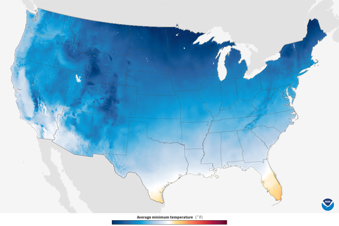 Temperature - Minimum, 1991-2020 Monthly Average thumbnail image