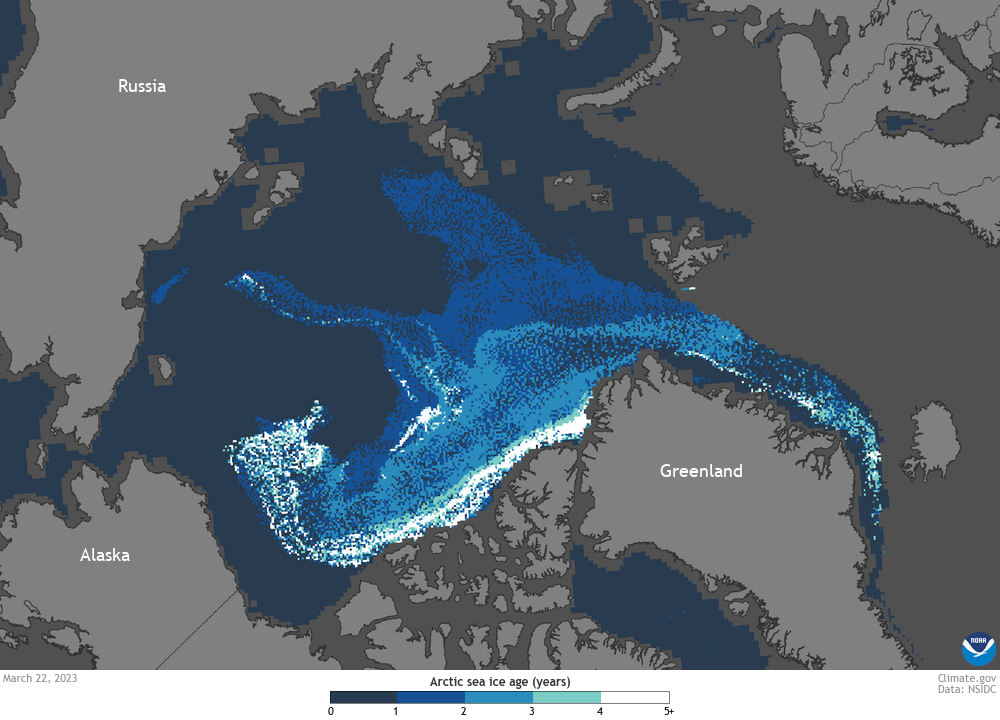 Map of Arctic sea ice age 