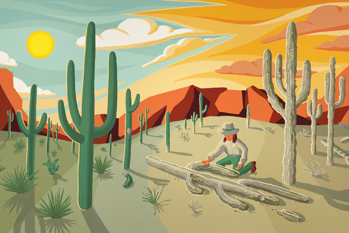Drawing contrasting healthy versus dead and dying Saguaro cactus