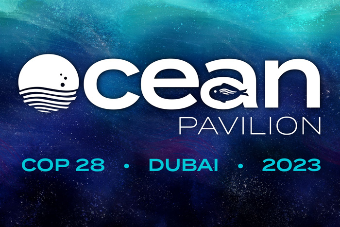 Underwater photo with logo
