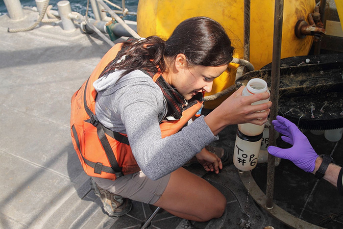 Emily Osborne sampling ocean water